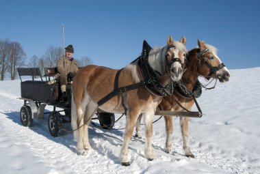 Pferdekutsche im Winter © mma23 - fotolia.com