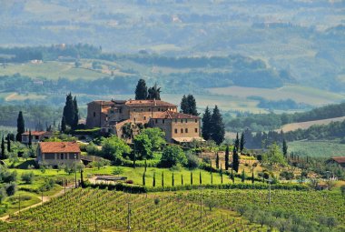 Weingut in der Toskana © LianeM-fotolia.com