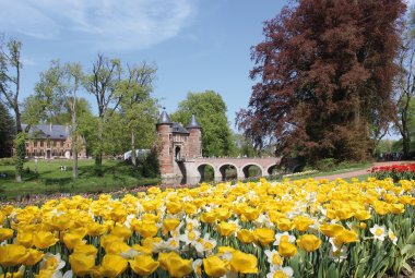 Schloss Groot Bijgaarden- Floralia Brussels