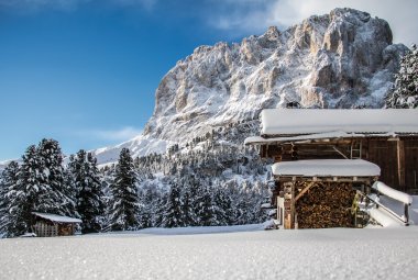 Blick auf den Langkofel © valgardena.it 