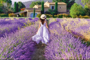 Lavendelblüte in der Provence © Feel good studio - stock.adobe.com