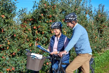 Radfahrer im Alten Land &copy; Tourismusverband Landkreis Stade/Elbe e.V. 