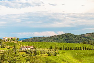 Weinbauregion Collio &copy; zakaz86 - stock.adobe.com