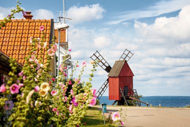 Insel Öland &copy; tomalv - stock.adobe.com